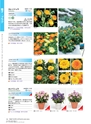 M&B FLORA Vol.24