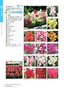 M&B FLORA Vol.24