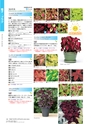 M&B FLORA Vol.24