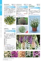 M&B FLORA Vol.24