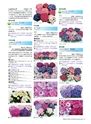 M&B FLORA Vol.24