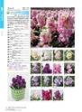 M&B FLORA Vol.24