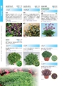 M&B FLORA Vol.24