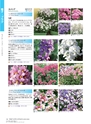 M&B FLORA Vol.24