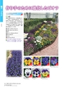 M&B FLORA Vol.24