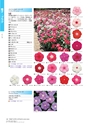 M&B FLORA Vol.24