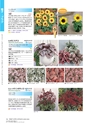 M&B FLORA Vol.24