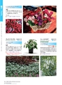 M&B FLORA Vol.24