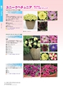 M&B FLORA Vol.24