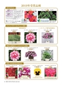 M&B FLORA Vol.24