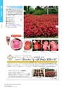 M&B FLORA Vol.24