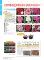 M&B FLORA Vol.24