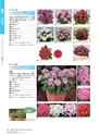 M&B FLORA Vol.24