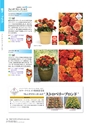 M&B FLORA Vol.24