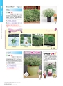 M&B FLORA Vol.24