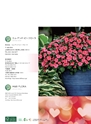 M&B FLORA Vol.24