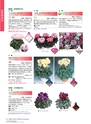 M&B FLORA Vol.24