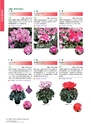 M&B FLORA Vol.24