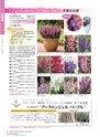 M&B FLORA Vol.24