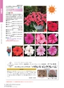 M&B FLORA Vol.24