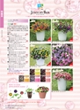 M&B FLORA Vol.24