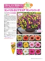 M&B FLORA Vol.24