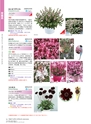 M&B FLORA Vol.24