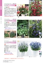 M&B FLORA Vol.24