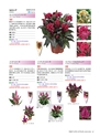 M&B FLORA Vol.24