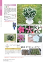 M&B FLORA Vol.24