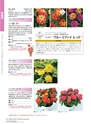 M&B FLORA Vol.24