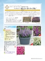 M&B FLORA Vol.24