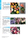 M&B FLORA Vol.24