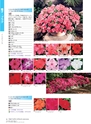 M&B FLORA Vol.24